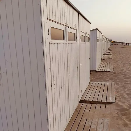 Apartmán Donkey Dune *