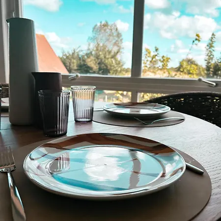 Donkey Dune De Panne